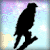 Hawk