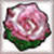 Pearl Rose