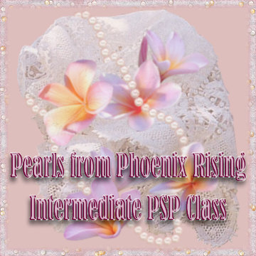 Pearls from Phoenix Rising Intermediate PSP Class